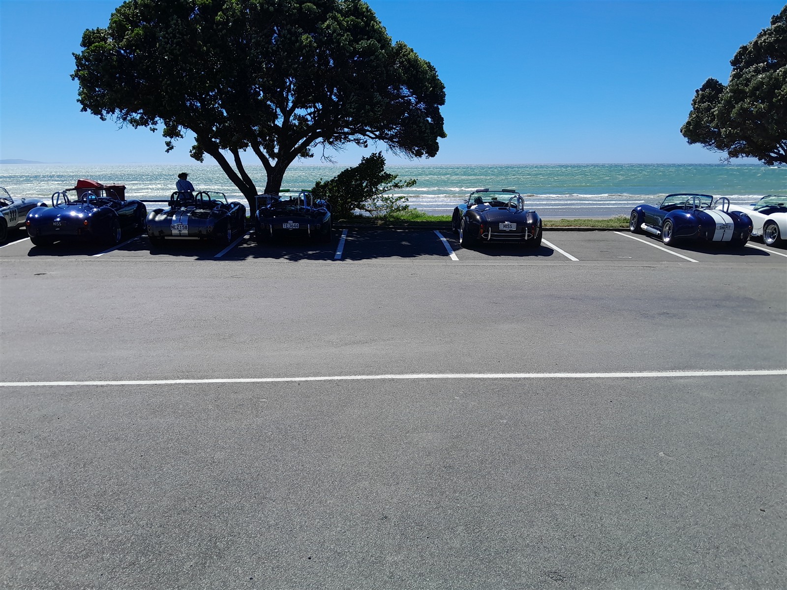 Auckland ~ Tuesday, 25 February